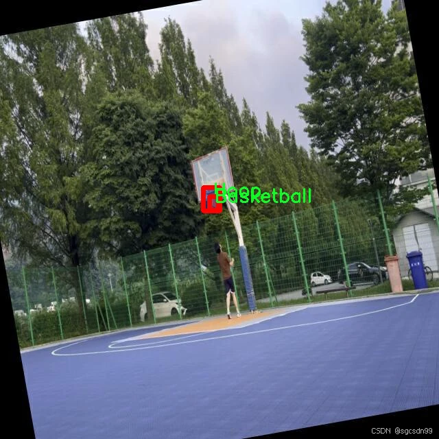 青少年篮球训练的影响因素及对策研究_2